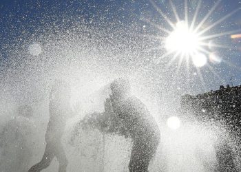 Olas de calor han sido más fuertes en los últimos años. / Foto: EFEverde.