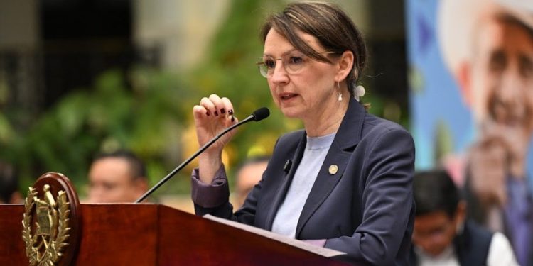 Ministra de Ambiente y Recursos Naturales presentó Programa de Reducción de Emisiones.