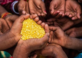 Piden investigación científica sobre el fósforo para paliar crisis alimentaria en África. / Foto: RTVEes.