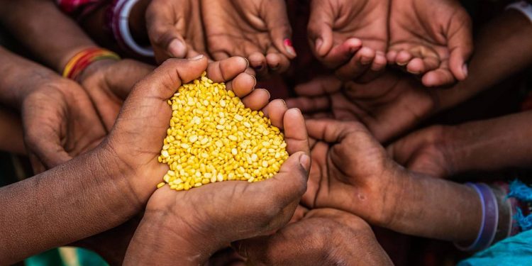 Piden investigación científica sobre el fósforo para paliar crisis alimentaria en África. / Foto: RTVEes.