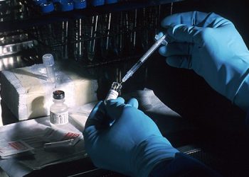 La vacuna dio resultados positivos en ensayo clínico con nueve pacientes con cáncer de riñón.