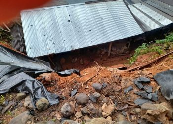 La DIGEGR destacó la importancia de evitar la construcción de instalaciones pecuarias en zonas de alto riesgo por sismos. / Foto: Conred