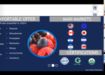 Consejería Comercial de Guatemala en Canadá impulsa la exportación de frutas y vegetales