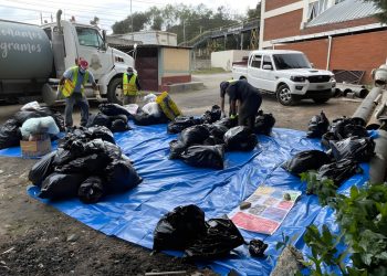 Reglamento establece multas por no cumplir con la separación de la basura. / Foto: Archivo MARN.