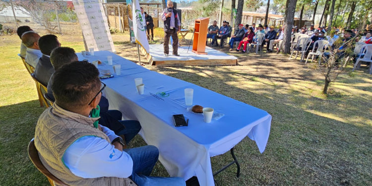 Compromiso con la conservación y manejo sostenible de los bosques de occidente