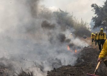 CONRED ha liquidado 77 incendios. (Foto: archivo Conred)