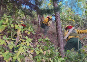Combaten incendio en el volcán de Agua. / Foto: Conred.