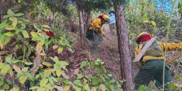 Combaten incendio en el volcán de Agua. / Foto: Conred.