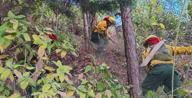 Combaten incendio en el volcán de Agua. / Foto: Conred.