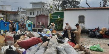 Alevines son una solución sostenible contra el dengue. / Foto: MSPAS.