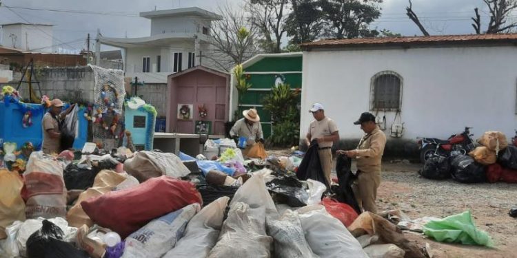 Alevines son una solución sostenible contra el dengue. / Foto: MSPAS.