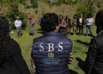 SBS extenderá su programa de acogimiento familiar a nivel nacional