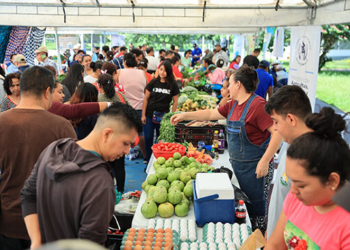 El regreso de la Feria del Agricultor reafirma el compromiso del Gobierno de Guatemala con la seguridad alimentaria y el bienestar de la población. / Foto: MAGA