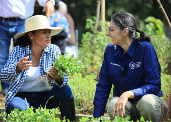 Gobierno fortalece la agricultura femenina con entrega de herramientas. / Foto: MAGA