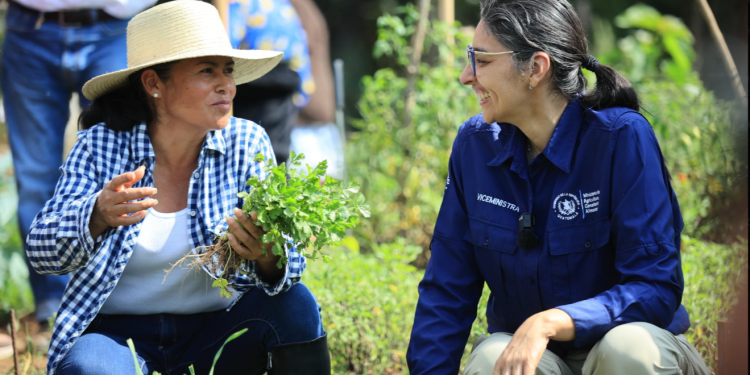 Gobierno fortalece la agricultura femenina con entrega de herramientas. / Foto: MAGA