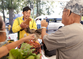 Un espacio para adquirir productos frescos y accesibles. / Foto: Dickéns Zamora.