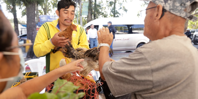 Un espacio para adquirir productos frescos y accesibles. / Foto: Dickéns Zamora.