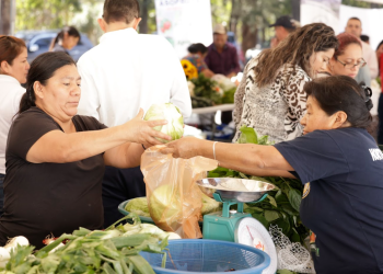 Un espacio para adquirir productos frescos y accesibles. / Foto: Dickéns Zamora.