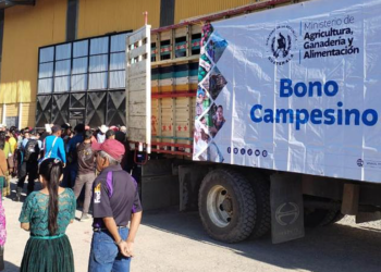 Con la entrega del Bono Campesino, el Gobierno de Guatemala refuerza su apuesta por la agricultura. / Foto: MAGA.