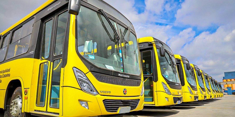 El Gobierno estipula que todo vehículo de transporte urbano de pasajeros debe contar con seguro obligatorio contra terceros y ocupantes.