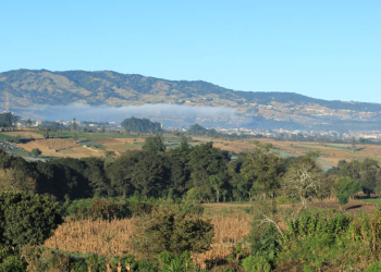 Con esta asamblea, Guatemala reafirma su compromiso de promover acciones concretas para hacer frente al cambio climático en el sector agrícola. / Foto: MAGA.