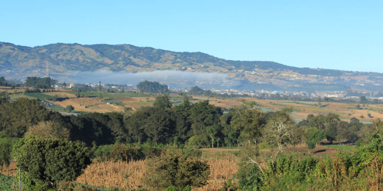 Con esta asamblea, Guatemala reafirma su compromiso de promover acciones concretas para hacer frente al cambio climático en el sector agrícola. / Foto: MAGA.