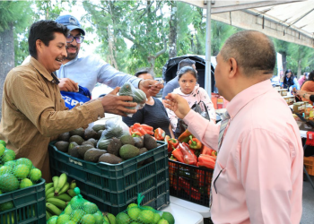 Los eventos de la Feria del Agricultor representan una oportunidad tanto para quienes producen como para quienes compran. / Foto: MAGA.