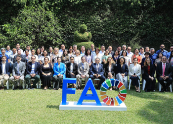 Con un enfoque basado en la cooperación y la planificación estratégica, la FAO y el gobierno de Guatemala continúan fortaleciendo la agricultura. / Foto: MAGA