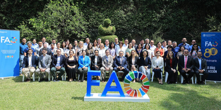 Con un enfoque basado en la cooperación y la planificación estratégica, la FAO y el gobierno de Guatemala continúan fortaleciendo la agricultura. / Foto: MAGA
