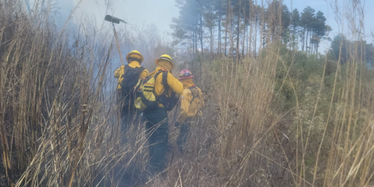 Conred ha liquidado 431 incendios hasta el 23 de marzo. (Foto: Conred)
