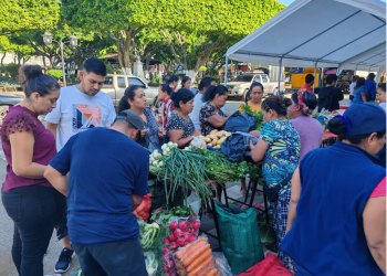 La feria del agricultor busca que más familias puedan acceder a productos de calidad a precios bajos. / Foto: MAGA