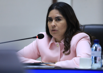 Viceministra de Seguridad, Claudia Palencia. / Foto: Mingob