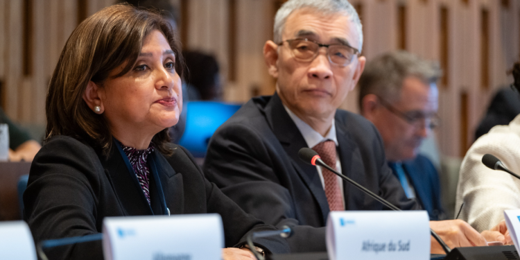 Vicepresidenta Karin Herrera. / Foto: Unesco