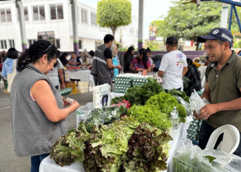 Feria del Agricultor llega a El Asintal, Retalhuleu, este lunes. / Foto: MAGA.