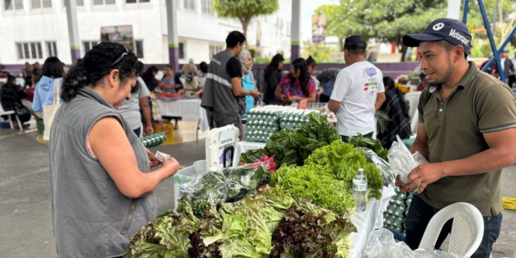 Feria del Agricultor llega a El Asintal, Retalhuleu, este lunes. / Foto: MAGA.