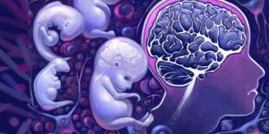El cerebro es capaz de readaptar sus estímulos ante la falta de una parte corporal. / Imagen: Psicología y Mente en línea.