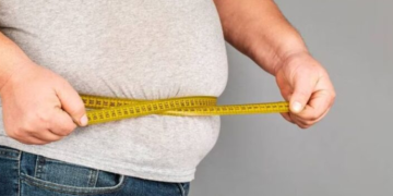 Estudio analiza tendencia a la obesidad en humanos y perros labradores. / Foto: Archivo.