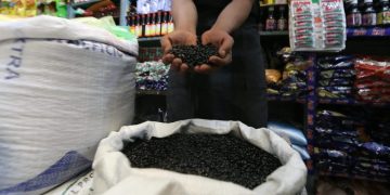 El contingente para la importación de frijol negro se autoriza a partir del 1 de abril.