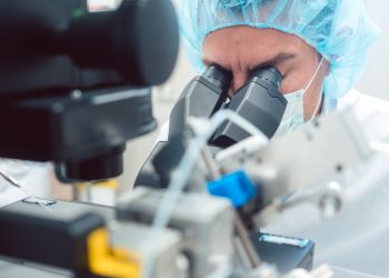 El descubrimiento sobre la neurohormona arroja luz sobre los orígenes evolutivos del comportamiento alimentario en los animales.