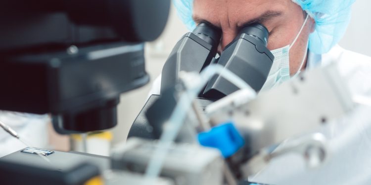 El descubrimiento sobre la neurohormona arroja luz sobre los orígenes evolutivos del comportamiento alimentario en los animales.