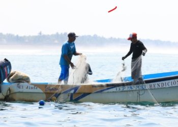 El MAGA establece una veda temporal para diferentes especies en el Caribe guatemalteco.