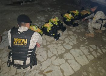 La Diprona reafirma su compromiso en la lucha contra el tráfico ilegal de productos. / Foto: PNC