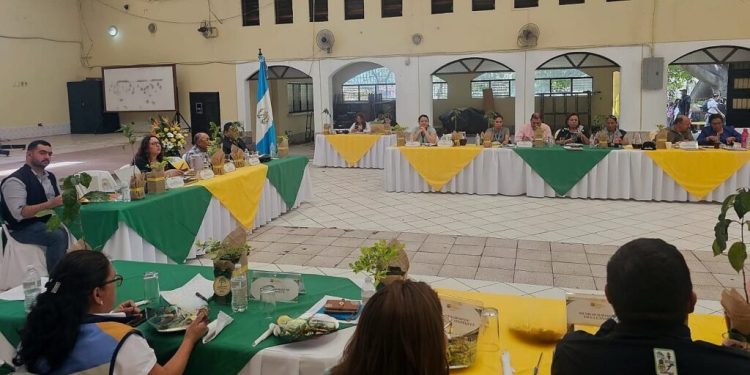 Codesan de Guatemala da seguimiento a prioridades en materia de seguridad alimentaria