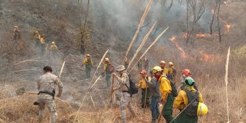 Conred intensifica los trabajos de liquidación de un incendio en Sacapulas, Quiché. (Foto: PNC)