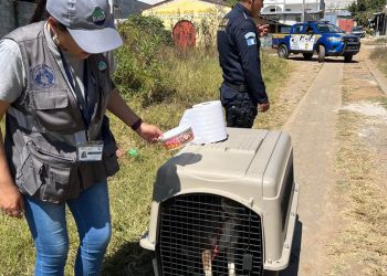 Autoridades de la UBA intervienen tras denuncia ciudadana. / Foto: MAGA.