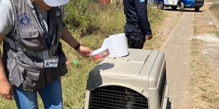Autoridades de la UBA intervienen tras denuncia ciudadana. / Foto: MAGA.