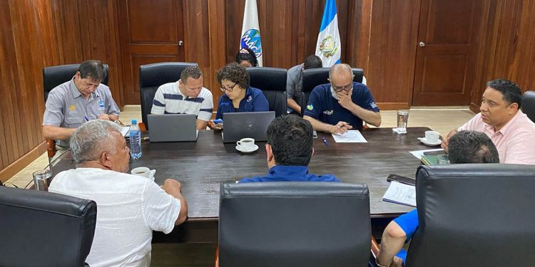 Encuentro técnico para el control de la plaga de la hormiga roja loca. / Foto: MAGA.