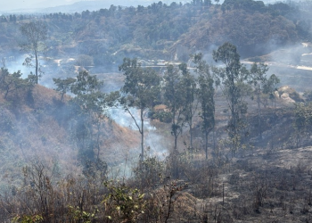 Incendio en el kilómetro 14 de la carretera al Pacífico, en el municipio de Villa Nueva. / Foto: Conred