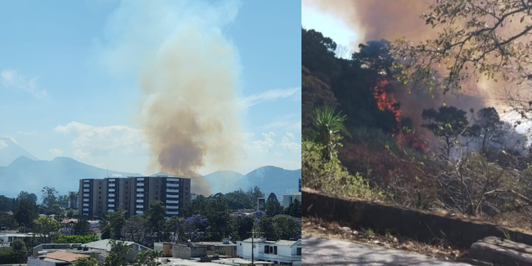Conred atiende incendio en bajada de Las Charcas en zona 11