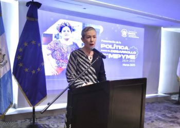 Presentan la Política para el Desarrollo de la microempresa, pequeña y mediana Empresa 2024-2032